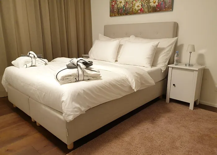 Swiss - Interlaken Appartement *