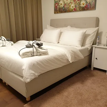 Swiss - Interlaken דירה *